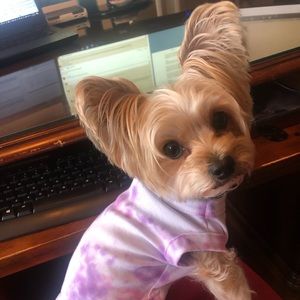 Meet your Posher, Florence